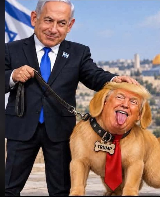 SophiaGarcia205's tweet photo. Israel's bitch!
#TrumpEpsteinPedoCoverUp https://t.co/8QQdFGedIa