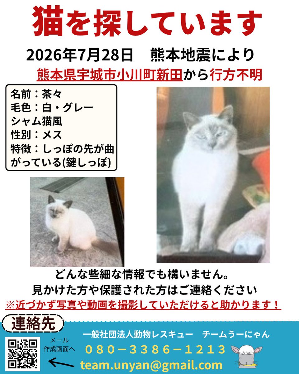 ____Usa's tweet photo. 【📣目撃情報をお願いします📣】

現在チームうーにゃんは、熊本地震で行方不明になった動物たちの捜索活動にあたっています。

地震の影響で、多くの動物たちが家族とはぐれています。
外での生活は普段お家で暮らす動物たちにとって、とても過酷です。一刻も早く見つけてあげたいと思います。

「似た子を見かけた」「鳴き声を聞いた」など、どんな小さな情報でも構いません。

見かけた際は、追いかけずに、場所・時間・写真（撮れれば）を記載の連絡先までお知らせください。

team.unyan@gmail.com

⚠️これまでと電話番号が変わりました‼️
新しい連絡先
０８０－３３８６－１２１３

皆さまの情報が、大切な命をつなぐ力になります。

拡散・情報提供のご協力をよろしくお願いいたします。

#熊本地震
#ペット捜索
#行方不明
#迷子犬
#迷子猫