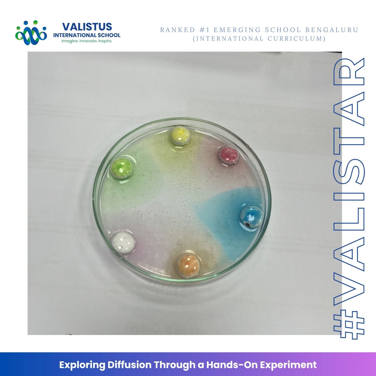valistusschool's tweet photo. Colour in motion! π Our Year 9 learners explored diffusion using gems in hot water, connecting colour movement to particles and concentration gradients. π¬β¨
Small gems, big scientific ideas! π‘ #SchoolsInBangalore #VALISTAR #CambridgeSchool #Learning #Diffusion https://t.co/r0RX1gJ3Vg