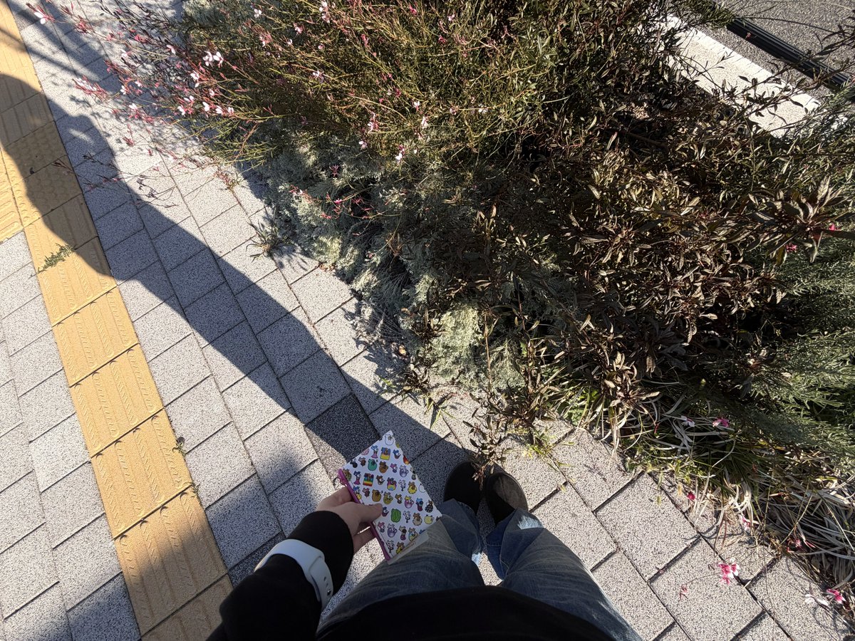 pS2ufo's tweet photo. 디올 프라다 보다 개기모치 https://t.co/75f7DrOAqL