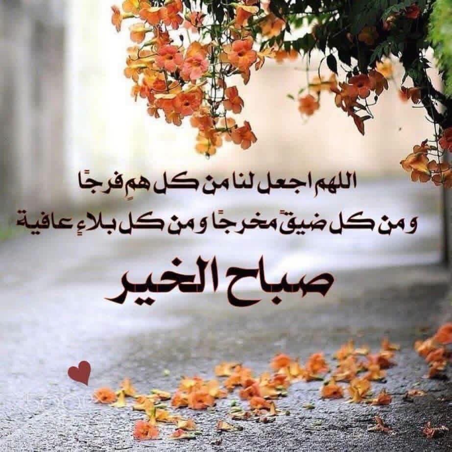 mohnadagdidi's tweet photo. #صباح_الخير
#تاريخ_اليوم_07_10_2026 https://t.co/EGk2DVVXRz