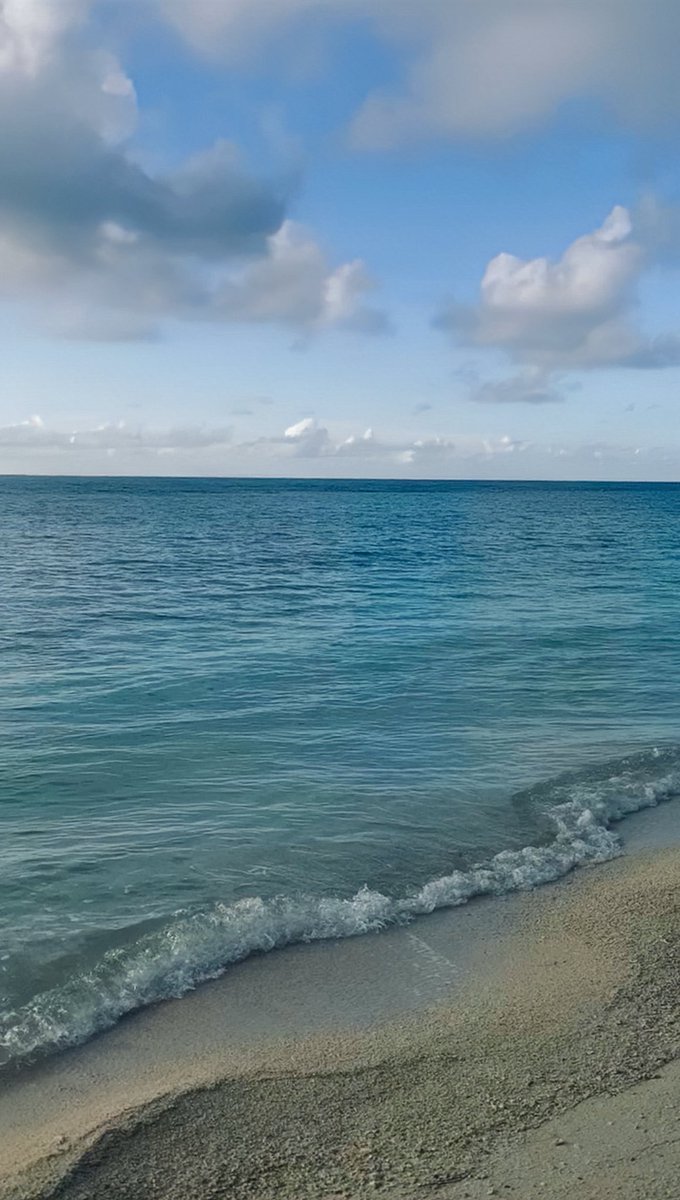 sealonel's tweet photo. bestt view everrrr https://t.co/cXPRI916N5