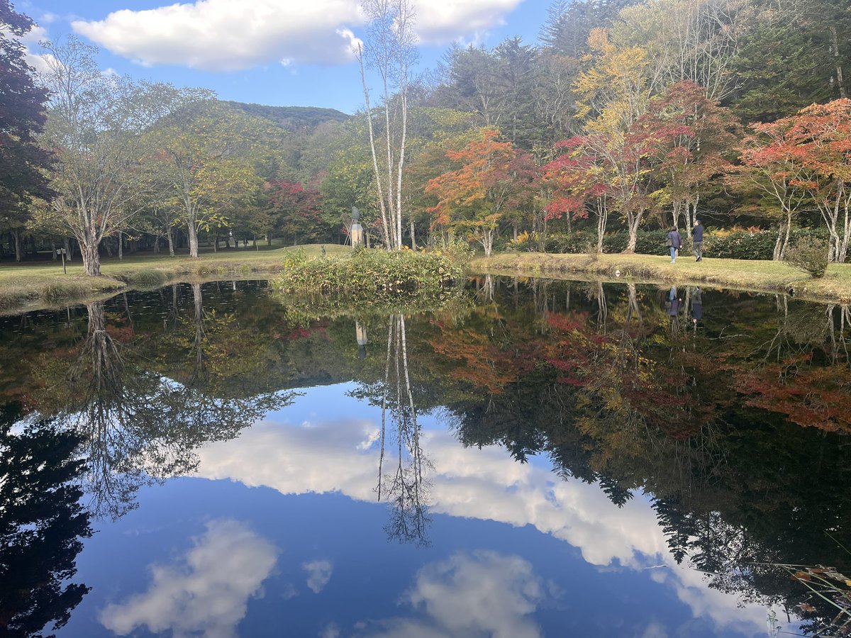 charloss_jp's tweet photo. サロマ湖でシマエビ買えたー！
ホタテ食べたらさらに北上してく
紅葉がもう少しで最盛期って感じで綺麗！ https://t.co/sm2KQgkRX3