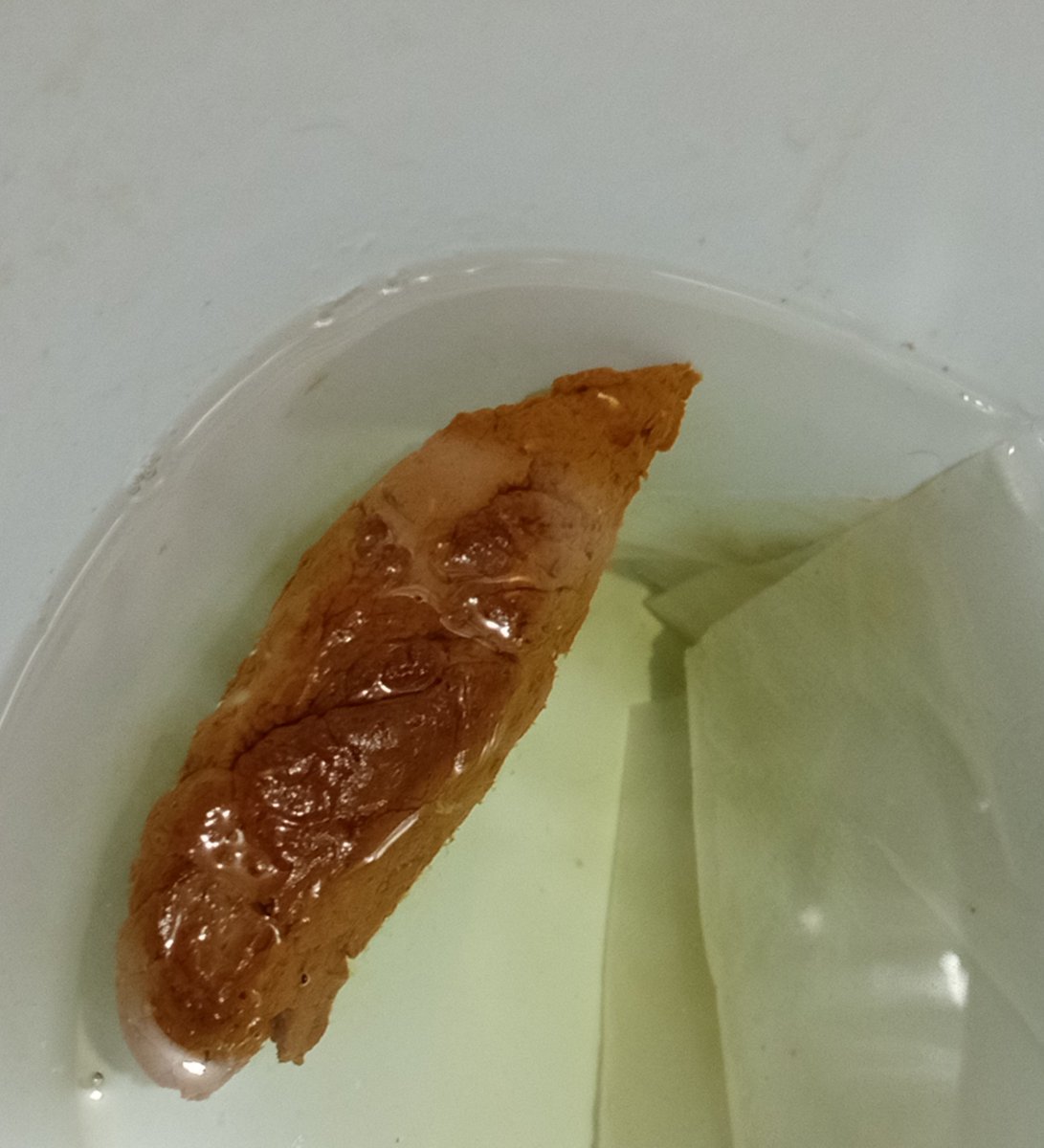 marcoscatpig's tweet photo. Acabei de #cagar ๐ฉ, isso acabou de sair do meu cuzinho rosa
Quem tรก afim de comer?
#scat #gayscat #gayscatfetish #poop #malefart #ass #malescat #gape #gay #gayshit #scatfetish #twink #scatporn #shit #merda #bosta https://t.co/PfWzbWvr57