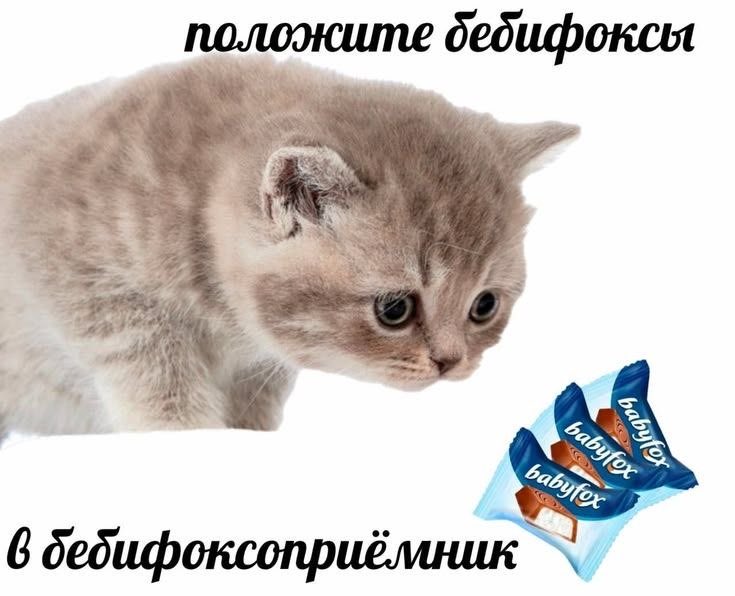 s1xsevenka's tweet photo. https://t.co/p9hCfBGBgm