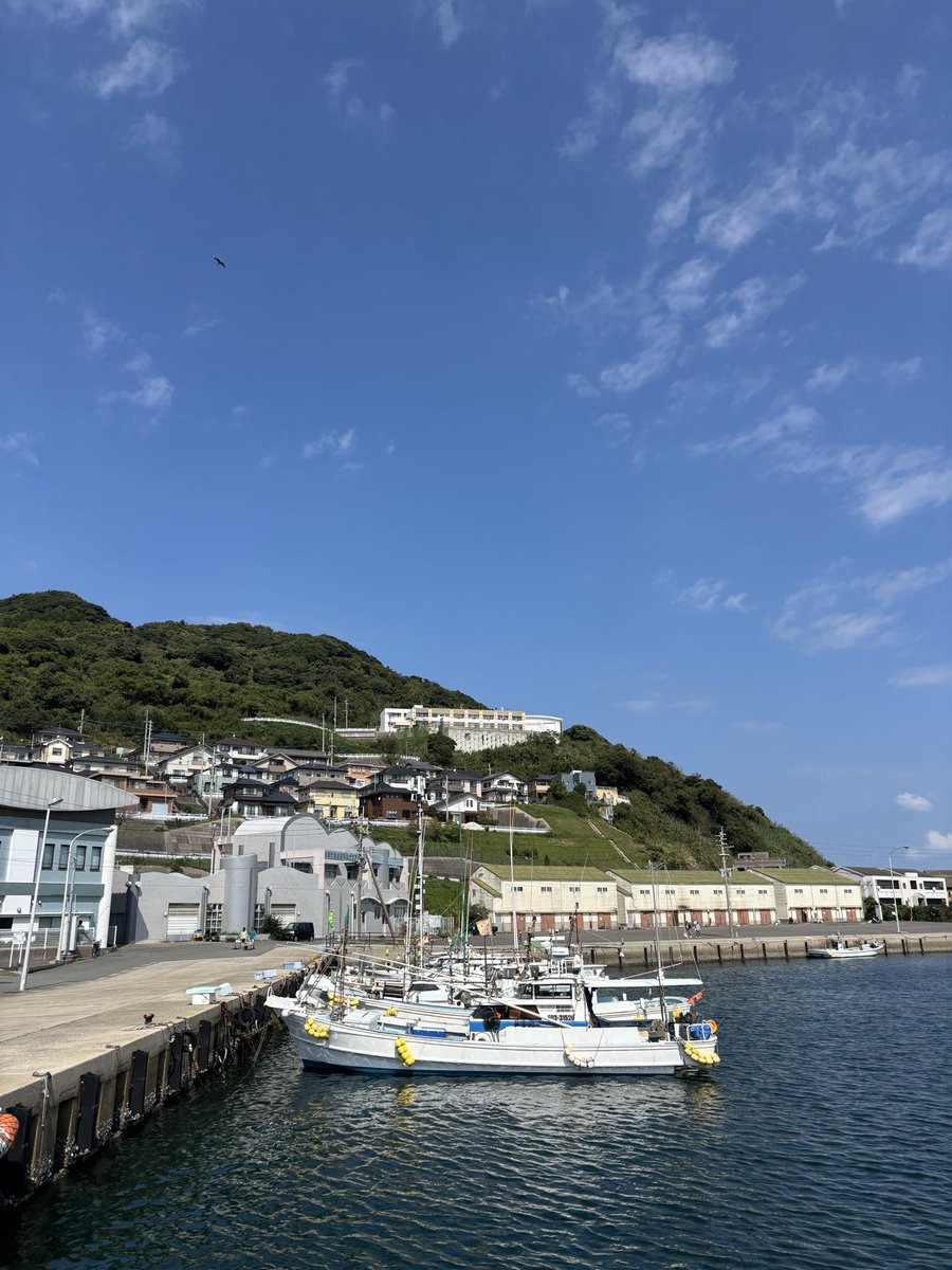okitsuhiroki's tweet photo. 昨日は、博多港から船で35分の玄海島に初めて行きました。

21年前の福岡県西方沖地震で大きな被害を受けた島で、一時全島避難する事態になりました。斜面は大規模な整備がなされ、新しい住宅が立ち並んでいます。

海も緑もこんなにも美しいなんて。またゆっくり訪れたいと思います。 https://t.co/AGyJJ19xhy