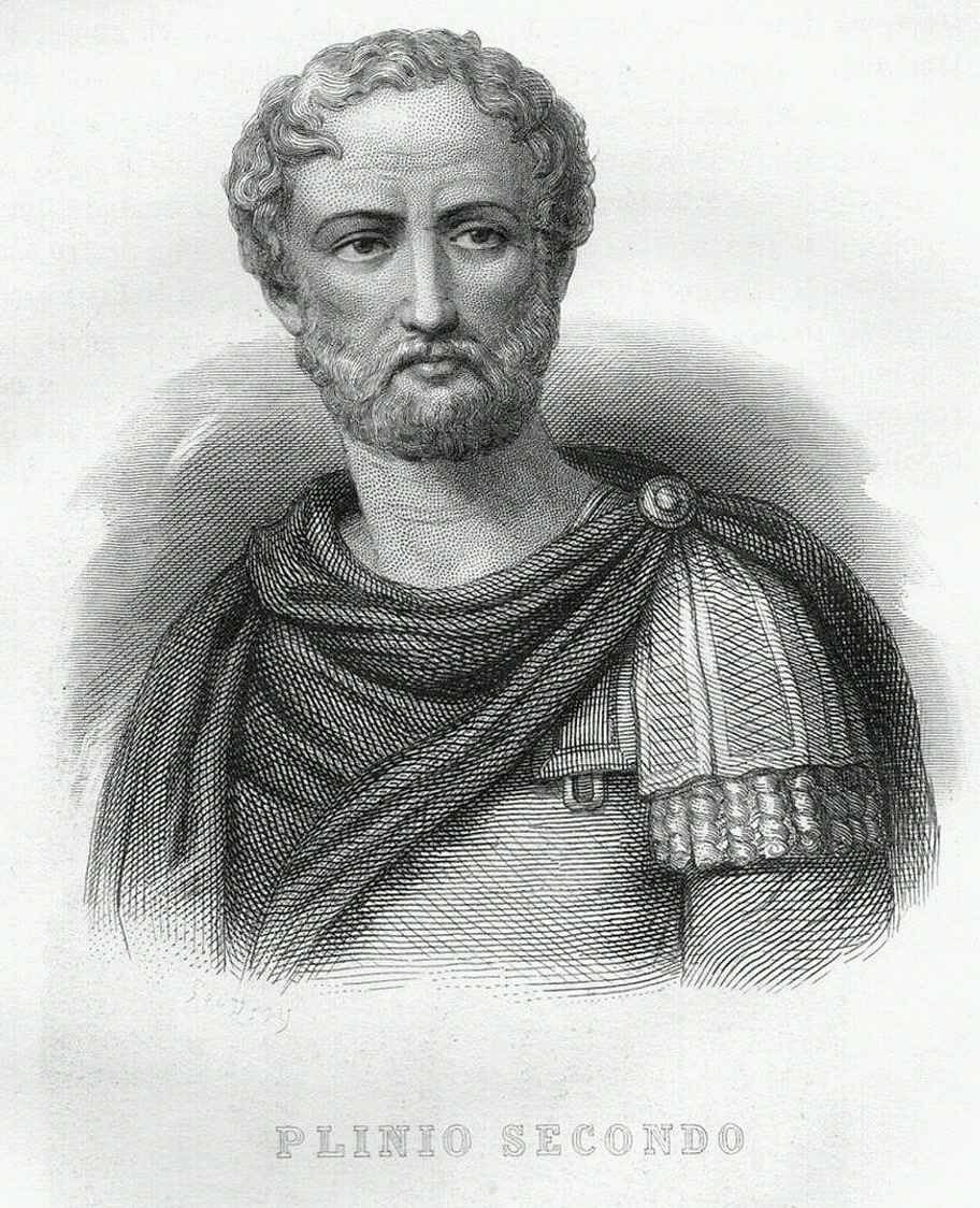 comolliatepjf1's tweet photo. During the 79 AD Eruption of Mt. Vesuvius, Pliny the Elder sailed toward the eruption to rescue survivors from Stabiae. He refused to turn back when the ships were threatened by falling cinders. Pliny died from the toxic gases but his party made it to safety.
#MindBlowing https://t.co/pdMuTJJXPO