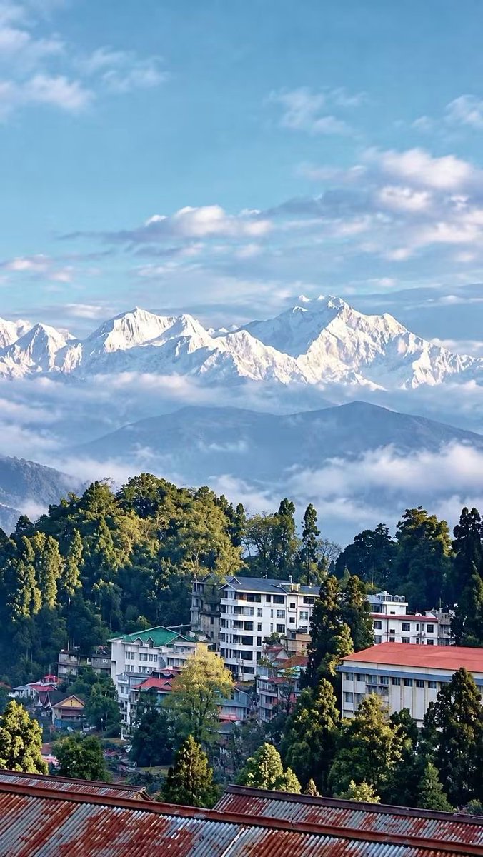 Meharjan555205's tweet photo. Queens of Hills Darjeeling 😍 📍❤
#jammukashmir
#bigboss #tejran
#karuppu #spiritualawakening https://t.co/tKuKIPW0wv