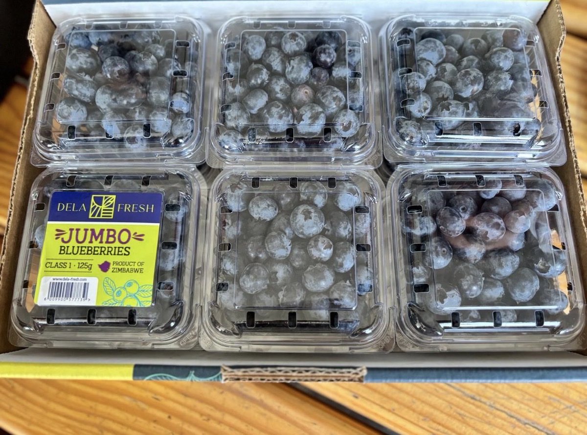 hdczim's tweet photo. The UK is a great market for Zimbabwean horticulture, taking in a range of our high-quality produce.

We’re excited to work with our partners to bring even more “Product of Zimbabwe” fruit to UK shelves and tables. @UKinZimbabwe https://t.co/BgMtsxga0u