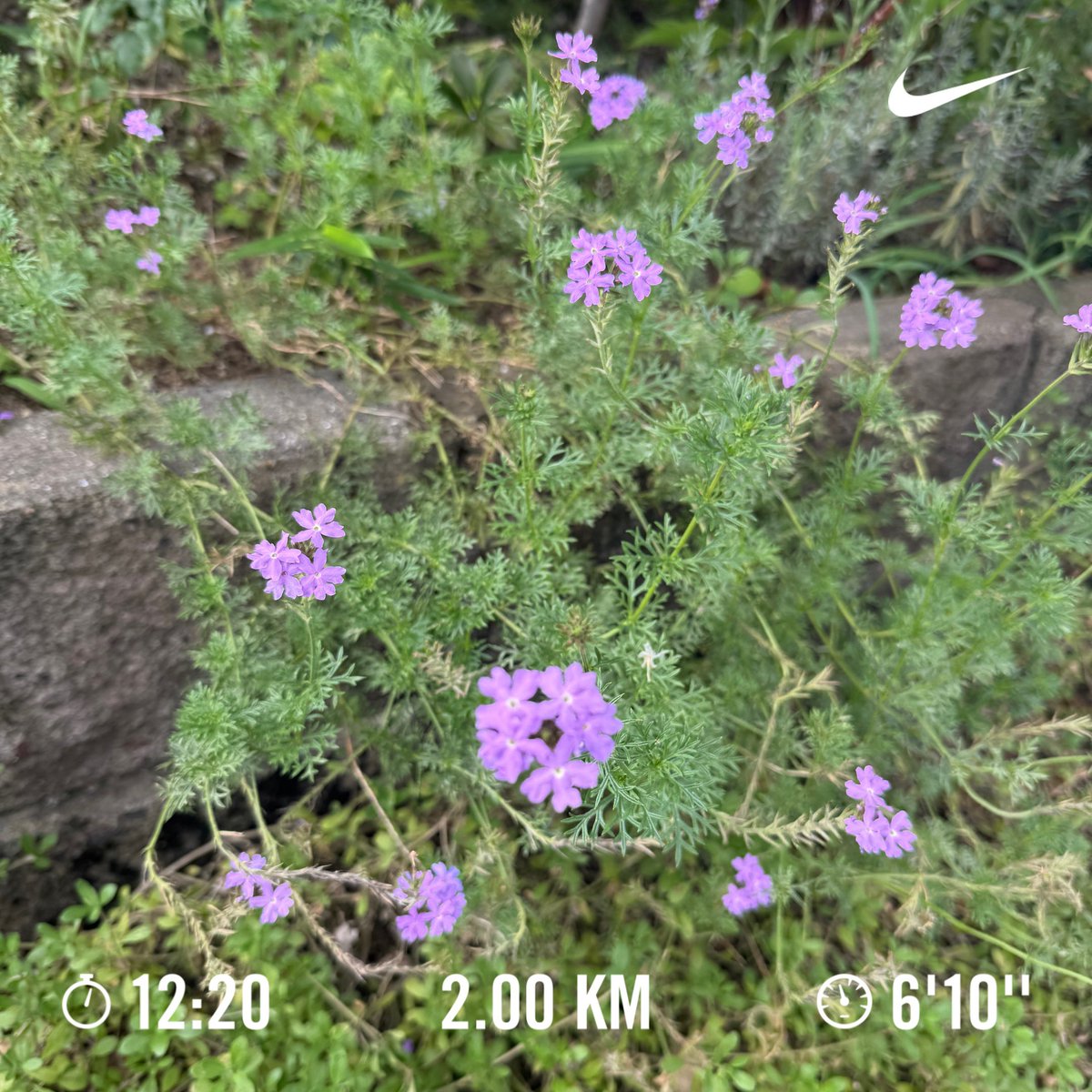 runrunrunning21's tweet photo. ランニング🏃　#859走目 https://t.co/I9jf9ptMbe