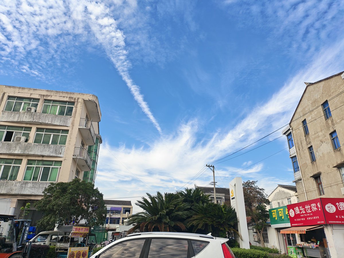 Yi920224's tweet photo. 晴朗是一种无声的赦免。它不追问你昨夜怎样，也不要求你此刻振作，只把一整片光交给眼睛。于是人在仰望里暂时退出纷争，像被天空借走了一小段自己。 https://t.co/XMY6rYn8HF