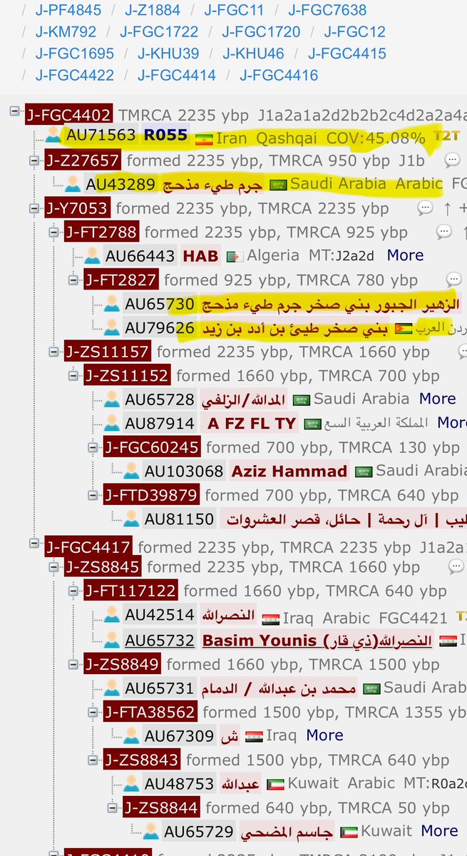 assahem2's tweet photo. - عينة ايرانية منفردة في قلب تحور عربي J1-fgc4402 وفوقه تحورات عربية حتى fgc11 وفي مثل هذه الحالة والحالات المشابهة يعد هذا قرينة ان لم تكن بيًنة على ان صاحب العينة اصوله عربية (ولم يسقط من الفضاء) ثم دخل في الموروث القشقائي
- العينة R055 في موقع @theytree_com سلالة ذكرية بنسبة تغطية 45٪ وهذا غير كافي لمعرفة كامل تفاصيل اوتوسمال الاب والسلالة الامومية U7a4a1 ايرانية اصيلة نقلا عن دراسة على 87 عينة عن العقم في مجتمعات عشائرية ايرانية
- شعب او اتحاد قبائل القشقاي تحالف كبير يضم عروقاً مختلفة غلبت عليه الأصول التركية يستوطن سهول كازيرون-فارس جنوب غرب #ايران بين شيراز وبوشهر المطلة على الخليج العربي
- حدث تداخل بين افراد عشائر تابعة لاتحاد قبائل الخمس العربية مثل فخوذ من الجبارة والشيباني استقرت في المراعي المحيطة بكازيرون وبين القشقاي
- الصورة لسفير ايران في لبنان محمد رضا شيباني واصوله من خوزستان (اقليم الاحواز او عربستان) جنوب غرب ايران