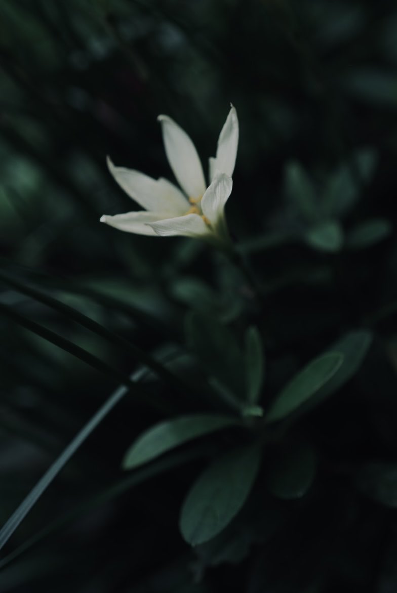 Rei0AM's tweet photo. https://t.co/oko4Rb4hpU