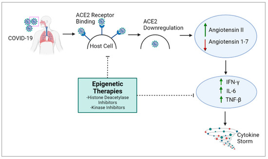 JDBMDPI's tweet photo. 📢Highly Cited Paper

📝 Developmental Impacts of Epigenetics and Metabolism in COVID-19
👥Noopur Naik, Mansi Patel, and Rwik Sen

📖 https://t.co/vln9z7KtSq

#DevBio #Epigenetics #Metabolism #Immunometabolism #COVID19 #MDPI https://t.co/4MSHKd0EEm