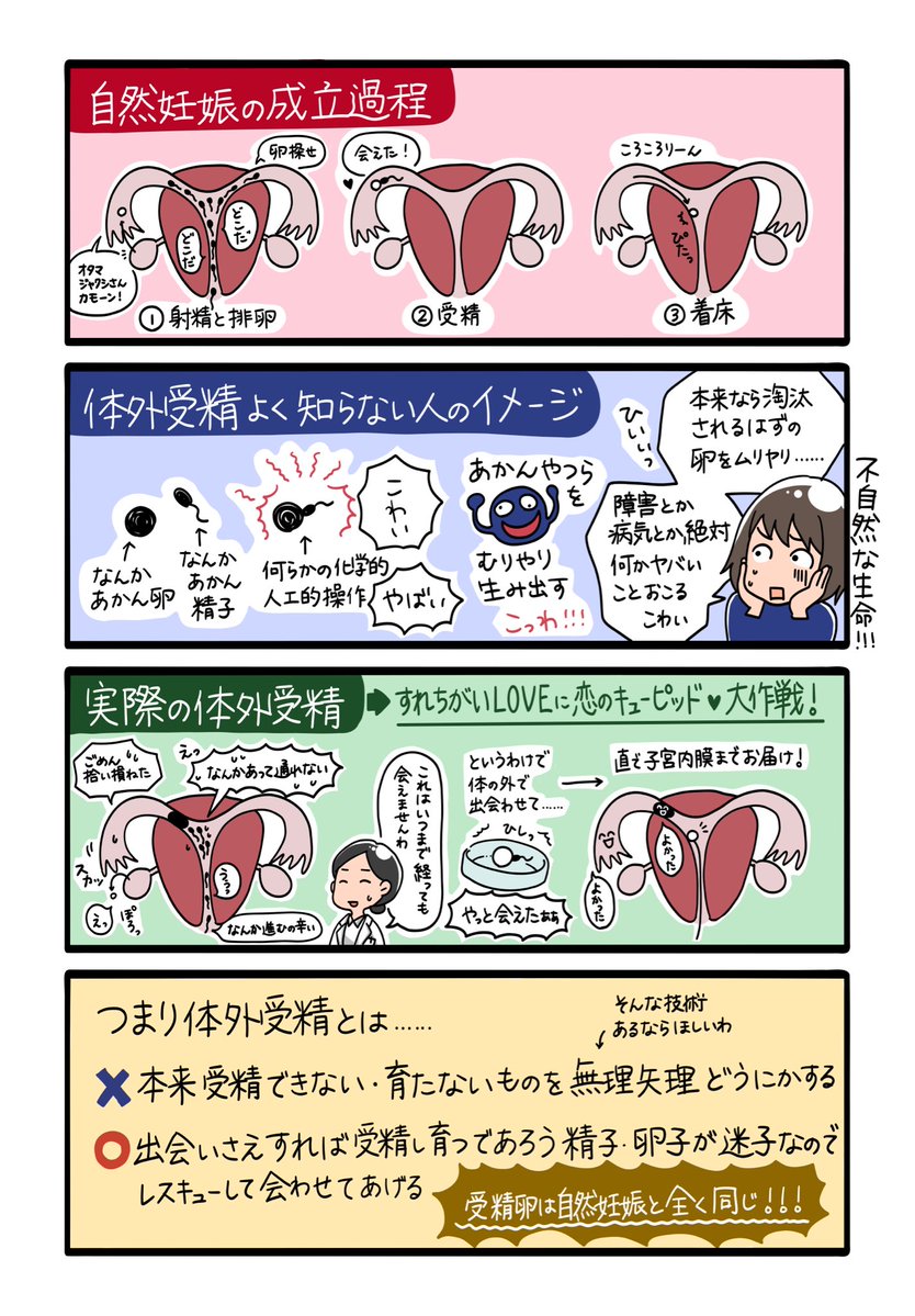 hurep_lingon's tweet photo. 高度生殖医療を全然知らない、顕微授精を指して人工授精と言ったりするレベルの人が、訳知り顔で体外や顕微に対して生命への冒涜やらご懸念を表明なさると、あのさぁってなるよね😇そこで体外の説明イラスト描いてみました。2種類の説明を試みたんだけどもっとあるよねぇ。いろんな切り口があるなー。 https://t.co/sYx4UCGHnQ