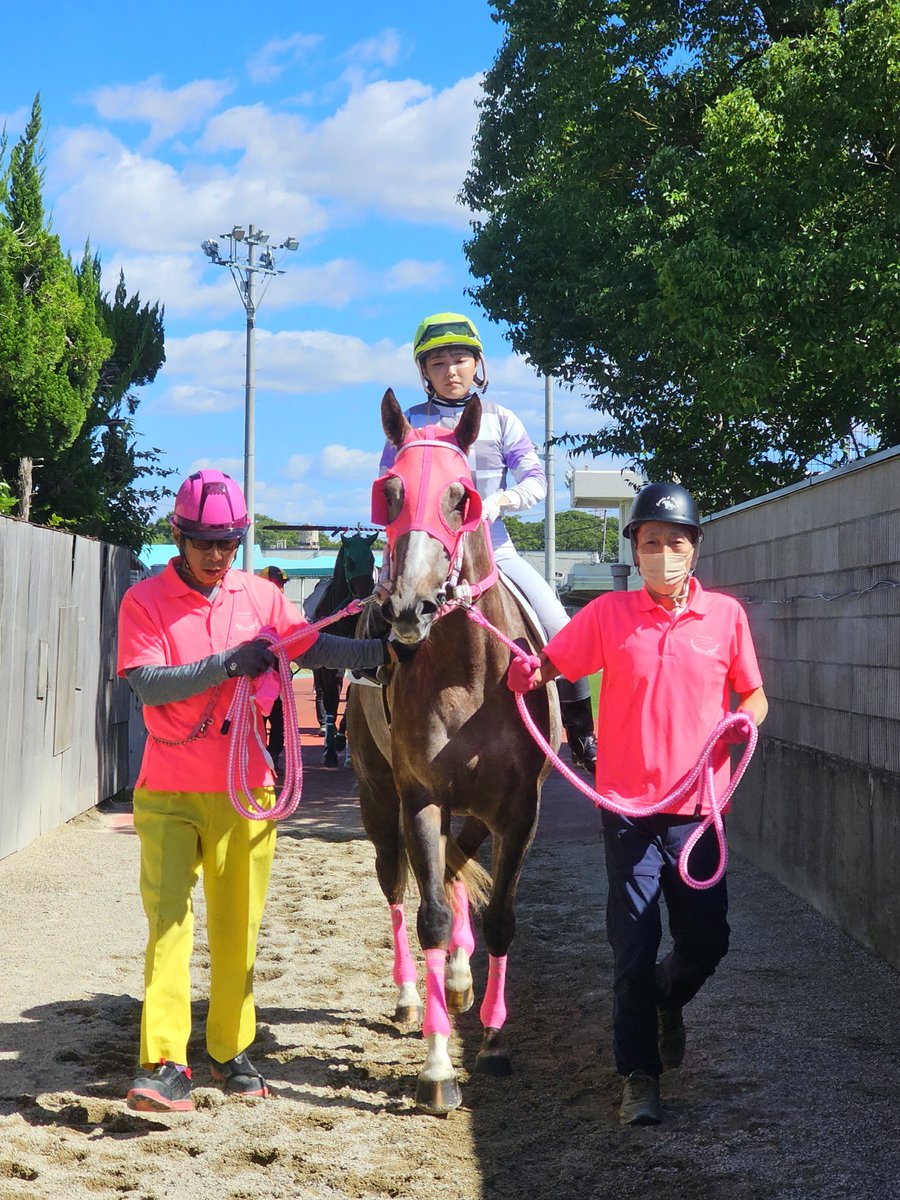 tP32GII48inEjMj's tweet photo. 本日の園田競馬5レースに出走したパーティパーティ号のパドック動画〜可愛くて大人しくてホンマにめんこい仔だね（*´▽｀*） https://t.co/dqaHOuPDya