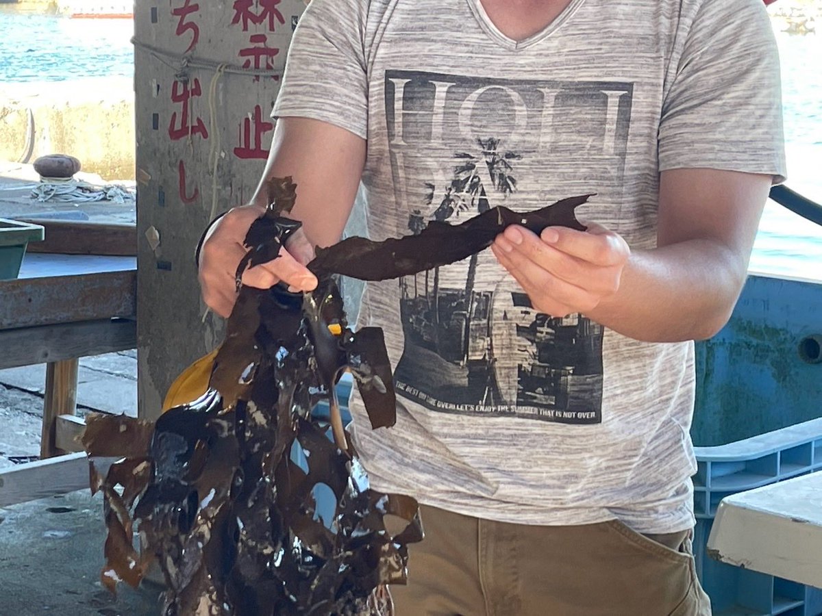 KankyoRyoko_'s tweet photo. 里海づくりスタディツアー、Bコースは三重県鳥羽市・石鏡（いじか）漁港へ⚓ 船に乗って、藻場の「今」を見に行きました。
今回のテーマは、海を守るための第一歩となる「現状把握」。漁港や漁業の様子から海の変化を見るポイントを学びました。 https://t.co/qS8EQqssp0