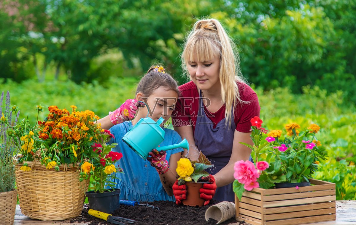 JeffereyGaddu's tweet photo. Took my 5-year-old to plant sunflowers today! Dirty hands, big smiles, and we can’t wait to watch them grow together https://t.co/2BbbtbJsPY