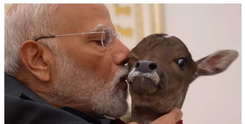 SantuCongress12's tweet photo. Kisses bahut diya 🪔🪔🪔 ...#Gaumaata ko...
Lekin acts kab laathe #Brammjeevi...
Agar sharam lajja hai kya ???
Arey #NikammaPM...
Dhimak teek raklo...
Poses bahut diya 🪔🪔 pics ke liye..
Naa sharam nahi lajja...
Mard bano... brammodiji...#Mardkaakaam karlo...
Yaa #Gaumaata kaa bhi...Kuch reservation dhenge kya ????..
@AmitShah @RSSorg @INCIndia ...
Natak nakko ji...
#2029elections pahela karenge...nakko...ji..
Mai aapko thoda bahut samaja...ji...
Thoda #Bediyaasoch...kam karlo...
Teek hai..#Bramitshah and #Brahmmodiji..
#IdiotsofDelhi ...
@BJP4India
@PTI_News @ANI