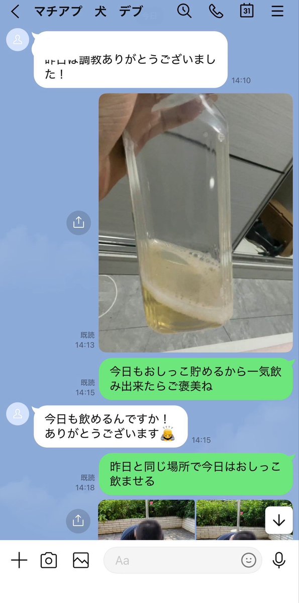 cabezadura66's tweet photo. ちゃんと完飲出来る犬だけだよ？
舐め犬なら飲み干せて当然だよ？

SM専用マチアプ
【https://t.co/jfgKple2Oc】 https://t.co/momIbDUhdG