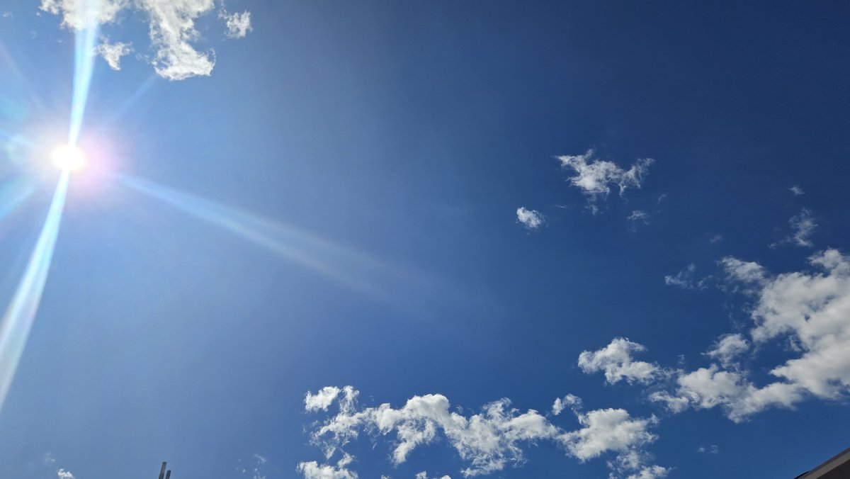 Sawloku's tweet photo. お天気いいし
涼しくなってきたから
お墓参りへ

雑草ボーボーだったので
ひたすら引っこ抜いてたら
来るのが遅いと
虫さされをいただきました😇
サッパリしたから許して😂 https://t.co/vOevFqVB6C