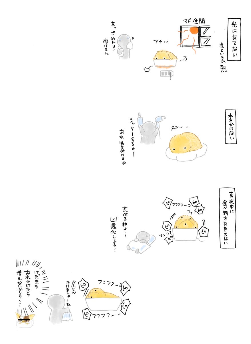 yagikedama06's tweet photo. 最近天気が悪くて外出できないときは自宅でけだまさんと昔懐かしの映画鑑賞してたりします。
※モフリンにお水はNGなはず… https://t.co/PXenQAwECC