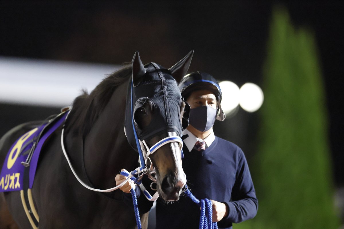 netkeiba's tweet photo. 【R.I.P】
2022年のマイルCS南部杯2着など、ダート戦線で活躍したヘリオス。

現役時代の姿をお届けします。

(撮影：高橋正和,下野雄規)
https://t.co/WT2rx6T3Dn https://t.co/amdkZ8bJ8E