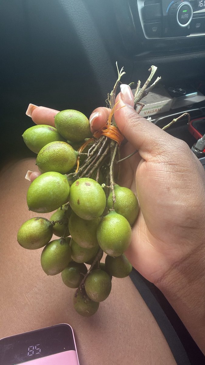 goodgyalhav's tweet photo. in jamaica eating everything #big https://t.co/P0v6doIa1L