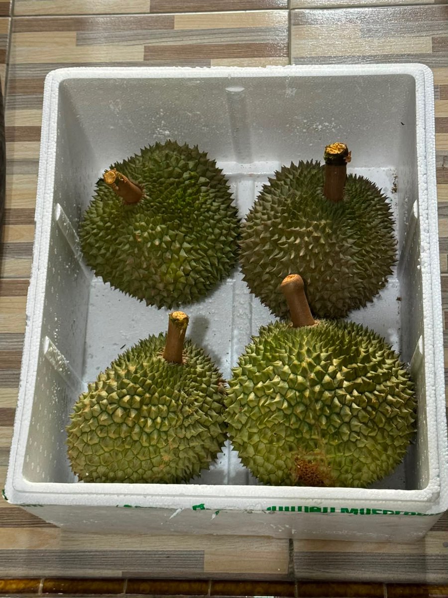 gadisadme's tweet photo. Buah paling enak sedunia https://t.co/0MevWfAhRQ