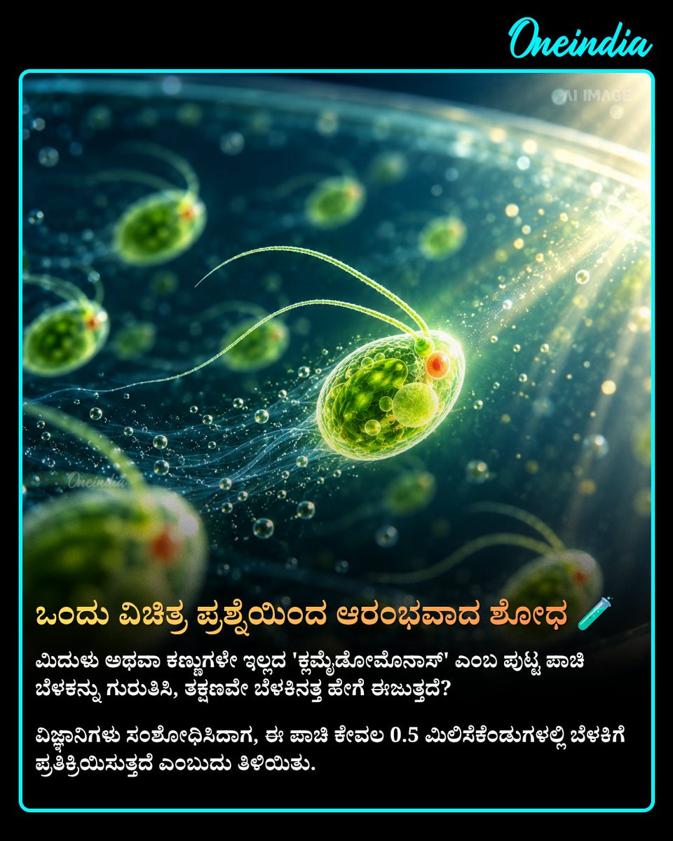 OneindiaKannada's tweet photo. ಕೊಳದ ನೀರಿನಲ್ಲಿದ್ದ ಸಣ್ಣ ಪಾಚಿ ಮಾನವ ಮಿದುಳಿನ ಅಧ್ಯಯನದಲ್ಲೇ ಹೊಸ ಕ್ರಾಂತಿ ಸೃಷ್ಟಿಸಿ ನೋಬೆಲ್ ಪ್ರಶಸ್ತಿ ತಂದುಕೊಟ್ಟಿದೆ!
See more : https://t.co/Tb7aUF6MY0
#NobelPrize2026 #MedicineNobel #OIKannada #OffBeat #infobyte #Optogenetics #BrainScience #ScienceFactsKannada https://t.co/e1Oj3fmoH2