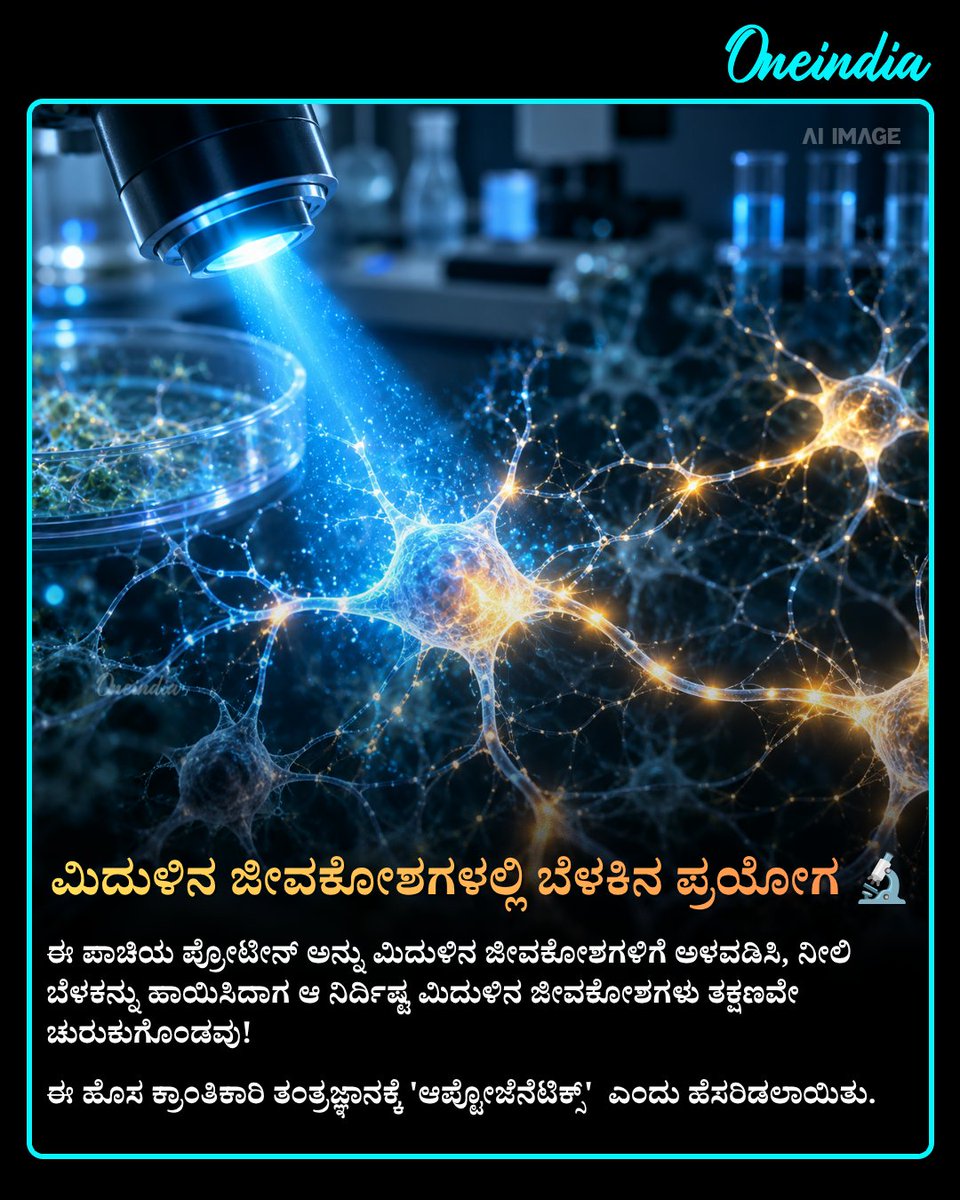 OneindiaKannada's tweet photo. ಕೊಳದ ನೀರಿನಲ್ಲಿದ್ದ ಸಣ್ಣ ಪಾಚಿ ಮಾನವ ಮಿದುಳಿನ ಅಧ್ಯಯನದಲ್ಲೇ ಹೊಸ ಕ್ರಾಂತಿ ಸೃಷ್ಟಿಸಿ ನೋಬೆಲ್ ಪ್ರಶಸ್ತಿ ತಂದುಕೊಟ್ಟಿದೆ!
See more : https://t.co/Tb7aUF6MY0
#NobelPrize2026 #MedicineNobel #OIKannada #OffBeat #infobyte #Optogenetics #BrainScience #ScienceFactsKannada https://t.co/e1Oj3fmoH2