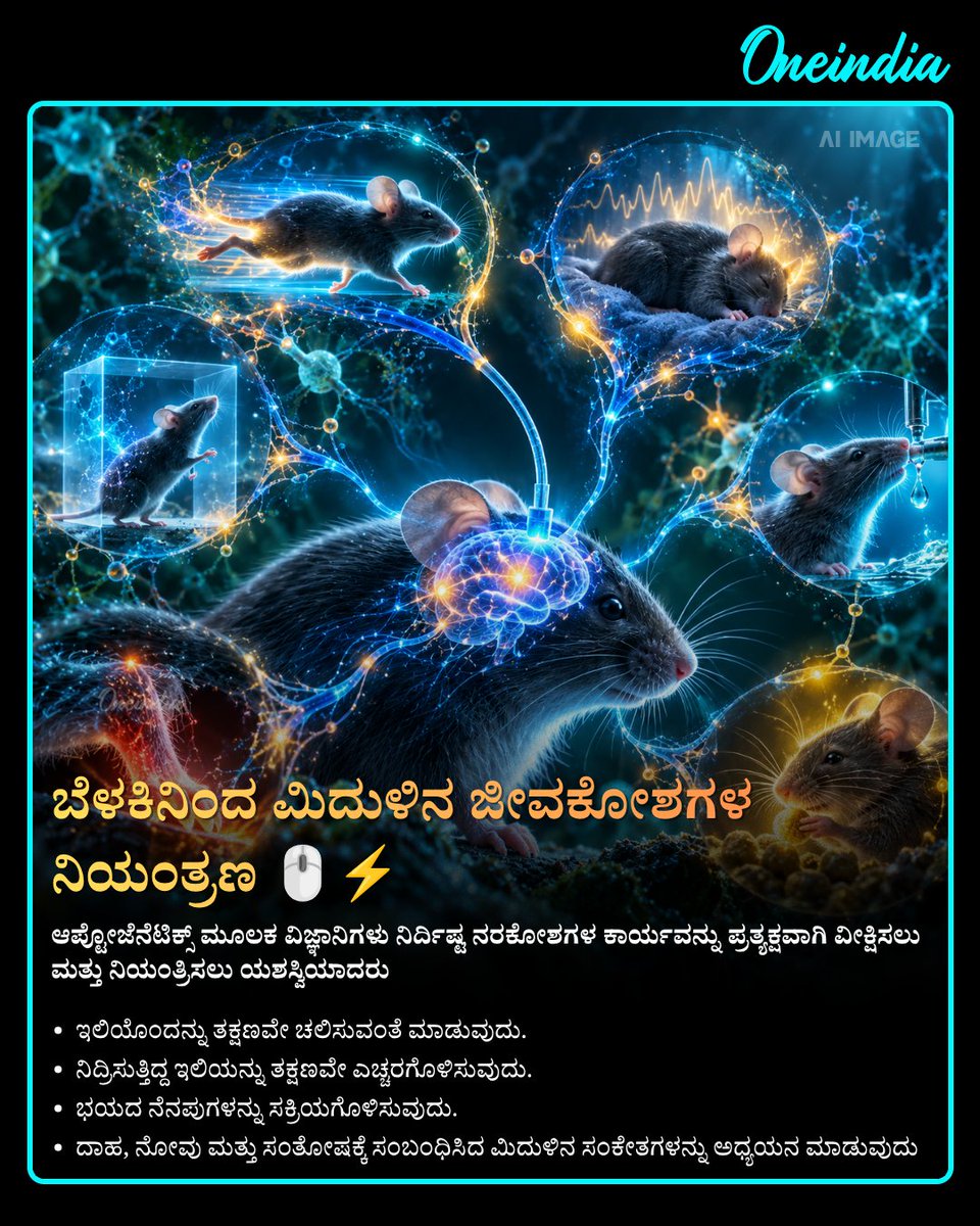 OneindiaKannada's tweet photo. ಕೊಳದ ನೀರಿನಲ್ಲಿದ್ದ ಸಣ್ಣ ಪಾಚಿ ಮಾನವ ಮಿದುಳಿನ ಅಧ್ಯಯನದಲ್ಲೇ ಹೊಸ ಕ್ರಾಂತಿ ಸೃಷ್ಟಿಸಿ ನೋಬೆಲ್ ಪ್ರಶಸ್ತಿ ತಂದುಕೊಟ್ಟಿದೆ!
See more : https://t.co/Tb7aUF6MY0
#NobelPrize2026 #MedicineNobel #OIKannada #OffBeat #infobyte #Optogenetics #BrainScience #ScienceFactsKannada https://t.co/TVkSvZqZym