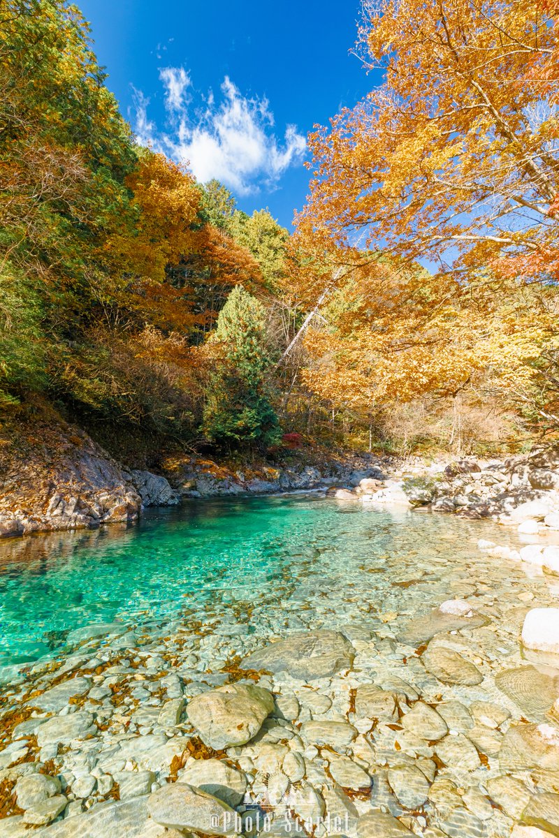 Photo_Scarlet's tweet photo. 長野県の渓谷は、夏も秋も最強の絶景なのです

←夏の長野県  『阿寺渓谷』
→秋の長野県  『阿寺渓谷』 https://t.co/Qtwd4kJKuT