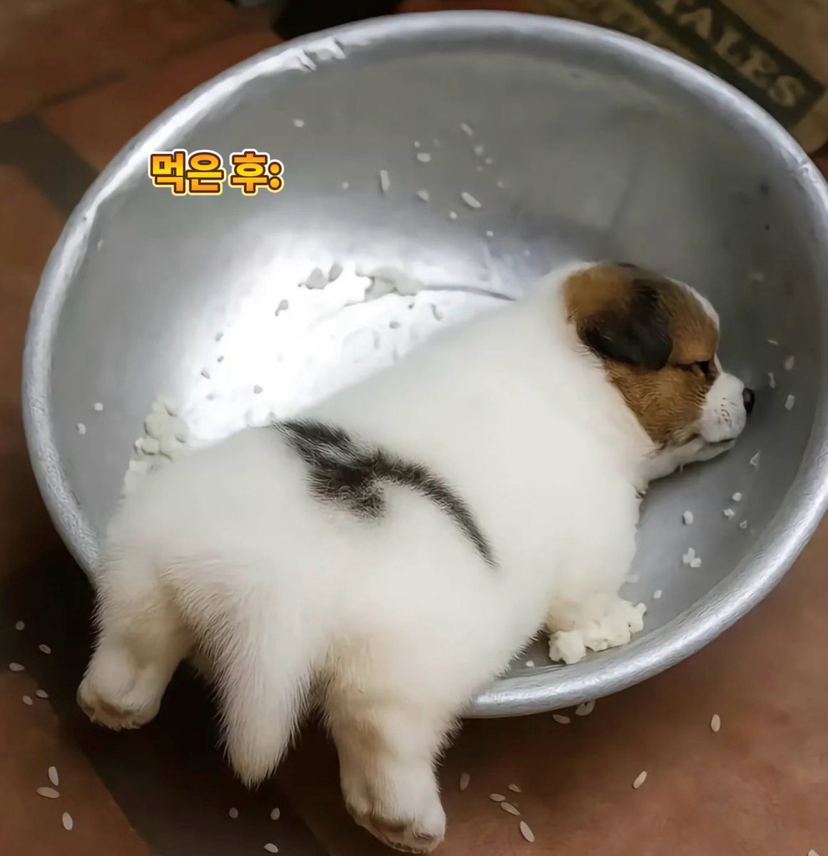 BAEKyoongap's tweet photo. 백현아, 배부르게 먹었으면 나중에 당량 때문에 기절할 거야 https://t.co/xG0QvLT0RW