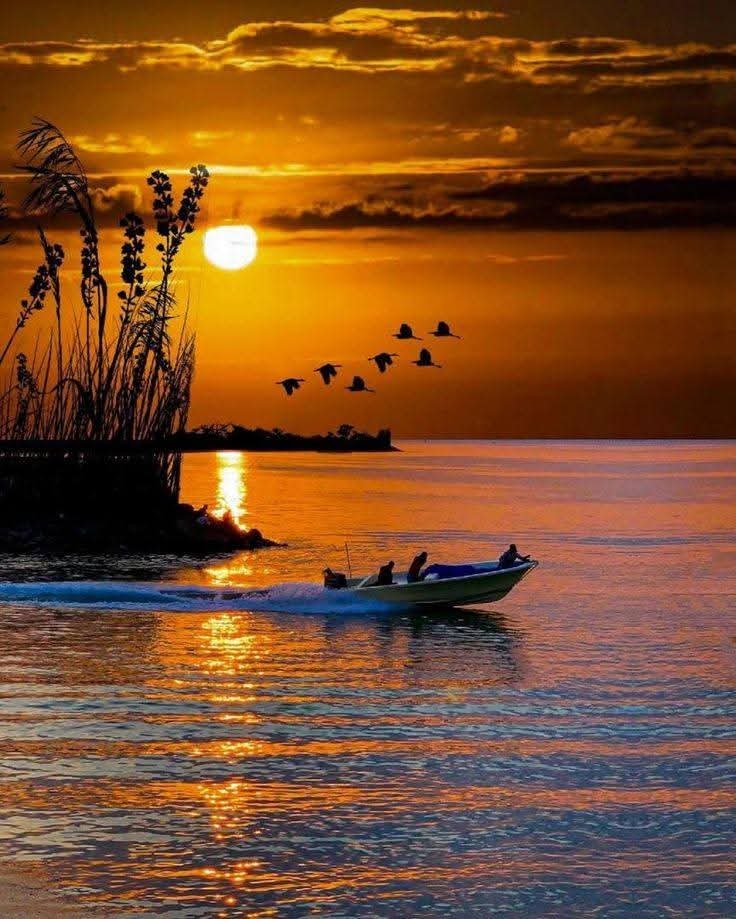 scouce007's tweet photo. 🌞💛 Good Morning!💛🌞 https://t.co/A0d4BpmxM7