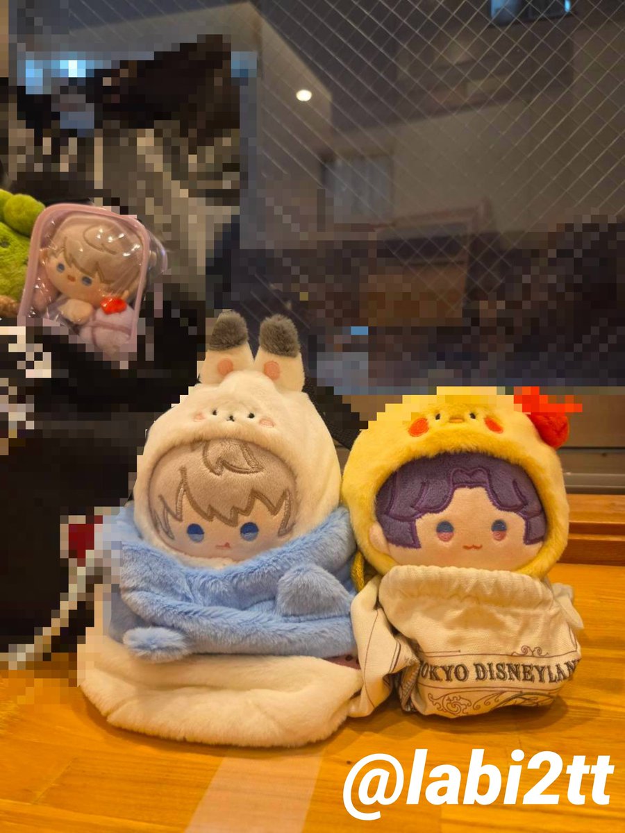 lab2itt's tweet photo. ちょっと前に🐟️担の友人と遊んだ日の写真📸とかちい活した日のｶﾗｵｹ🎤🎶とか👑と🎭️のｽﾀﾝﾃﾞｨに会いに行った時の写真📸またお仕事落ち着いたら推し活＆遊びに行きたいなぁ💭😶‍🌫️ https://t.co/qKg6j5VlEo
