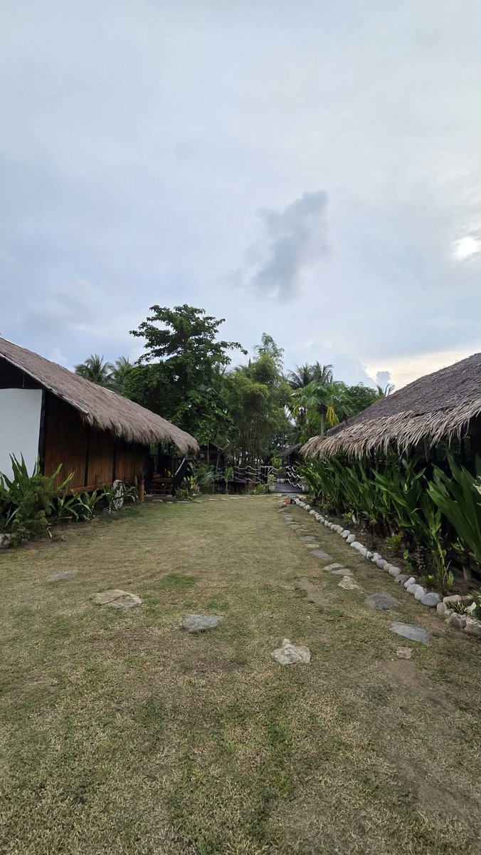 bingabeach's tweet photo. Your slice of paradise is always getting better. 🏝️✨
Ready to unwind? Book your stay today! 🥥#PalawanResorts #DiscoverPalawan #SanVicentePalawan #BeachLife #TravelPH https://t.co/rRnEIjaKzw