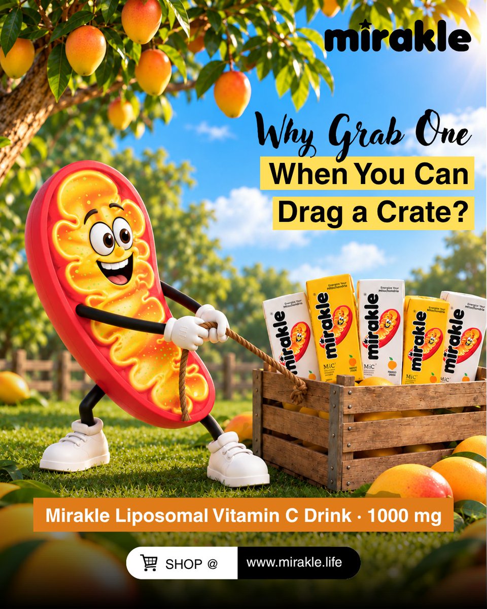 mirakledrink's tweet photo. Each Mirakle packs 1000 mg Liposomal Vitamin C into a chilled mango drink. One a day is all you need. The crate just means you never run out.
Stock up at https://t.co/PHQWV9kUYQ (link in bio).

#Mirakle #MyMirakleMoment #LiposomalVitaminC #VitaminC #MangoLovers https://t.co/pt010rv3nz