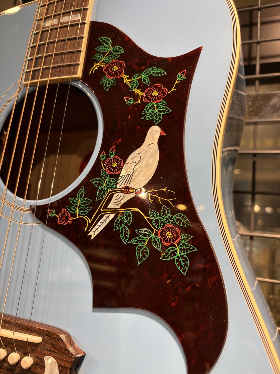 ishibashi_yoko's tweet photo. 2026年9月、Gibson Montana工場にて現地選定🙌
鮮やかなMaui Blueを纏った特別なDove Originalが横浜店に待望の入荷!
クラシカルな意匠と鮮やかなブルーが映える、存在感ある一本です✨
#Gibson #Dove
#イシバシ横浜ギター充実中 https://t.co/r1RziINoue