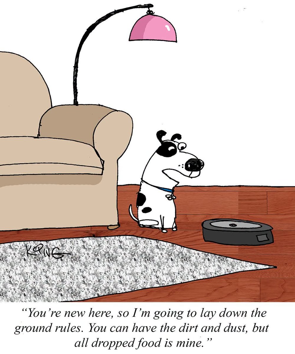 Georgemummysboy's tweet photo. 😂🤣😂, 🐶 https://t.co/uiSvriFzcV