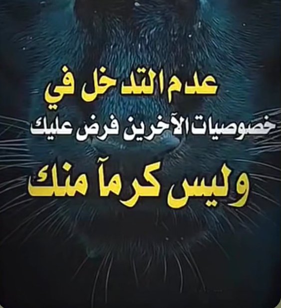k4zozq tweet picture