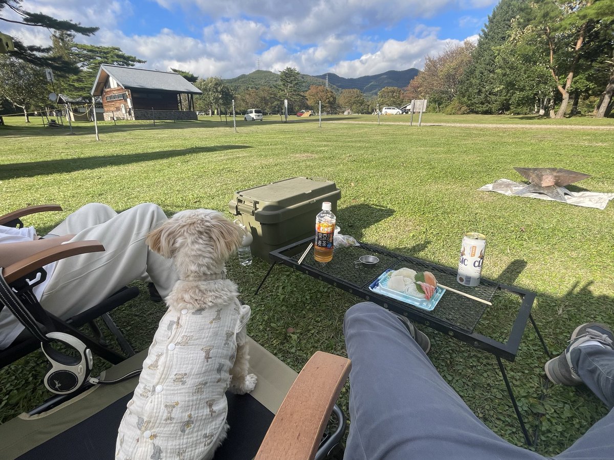 hhhhiro0411's tweet photo. お外でお酒最高 https://t.co/YBU6RSiUx8