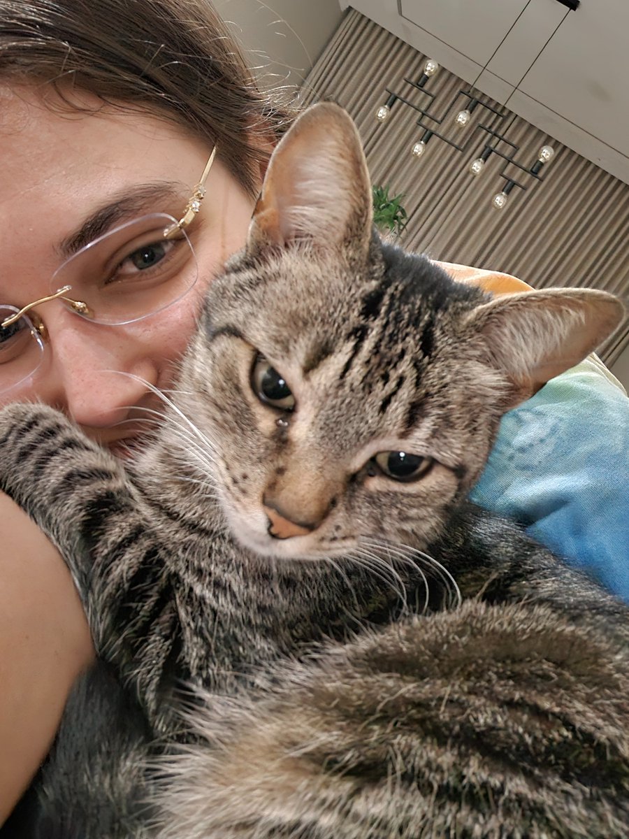 lelelynx's tweet photo. "ridículo quem chama o pet de filho"
o tom sendo a coisa mais linda o bebezinho da mamãe: https://t.co/KNZbwHlLxk