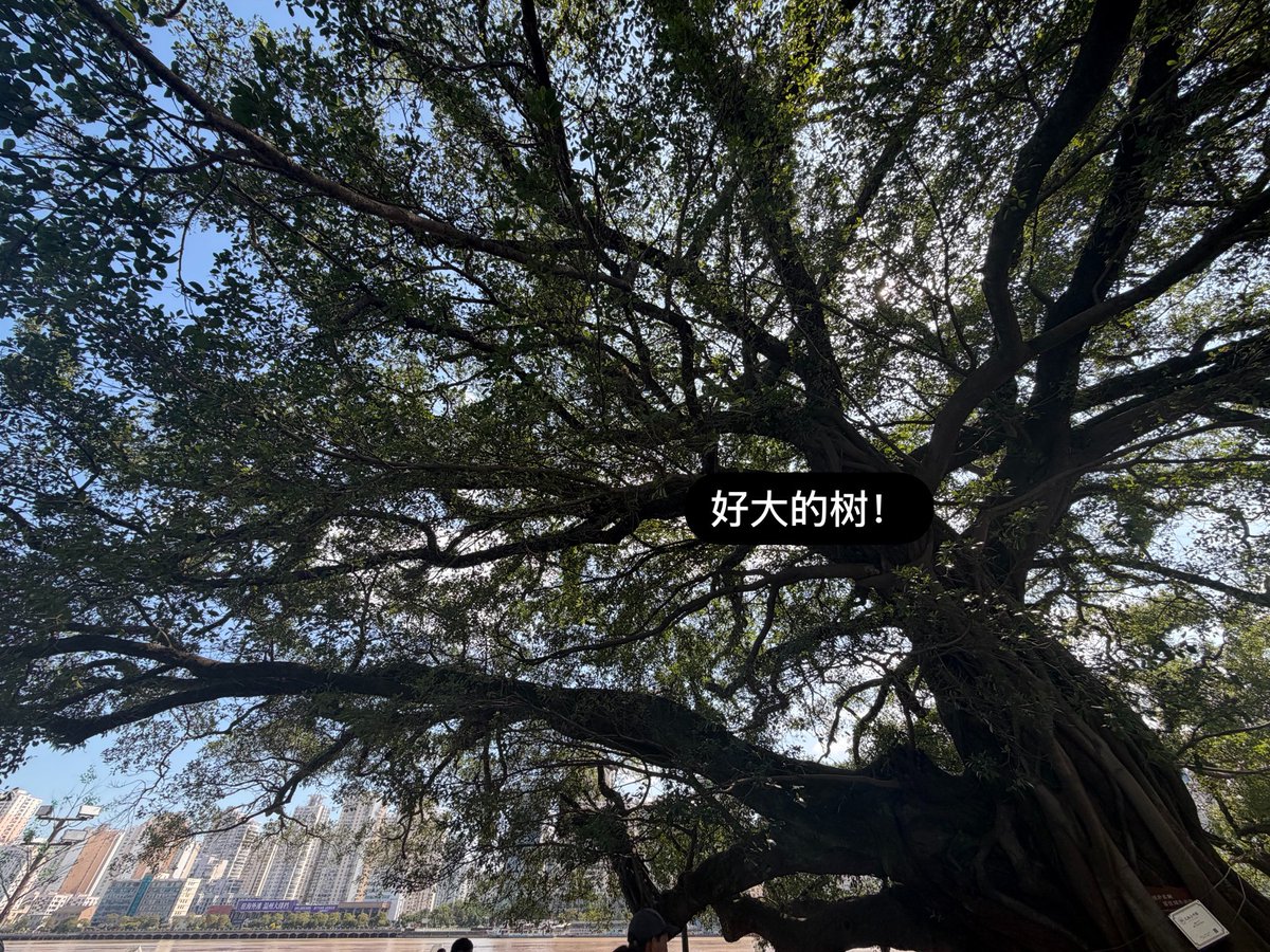 wdldjwjs's tweet photo. 温州落地签———糯米饭
好爱温州 https://t.co/4cl07SvkFV