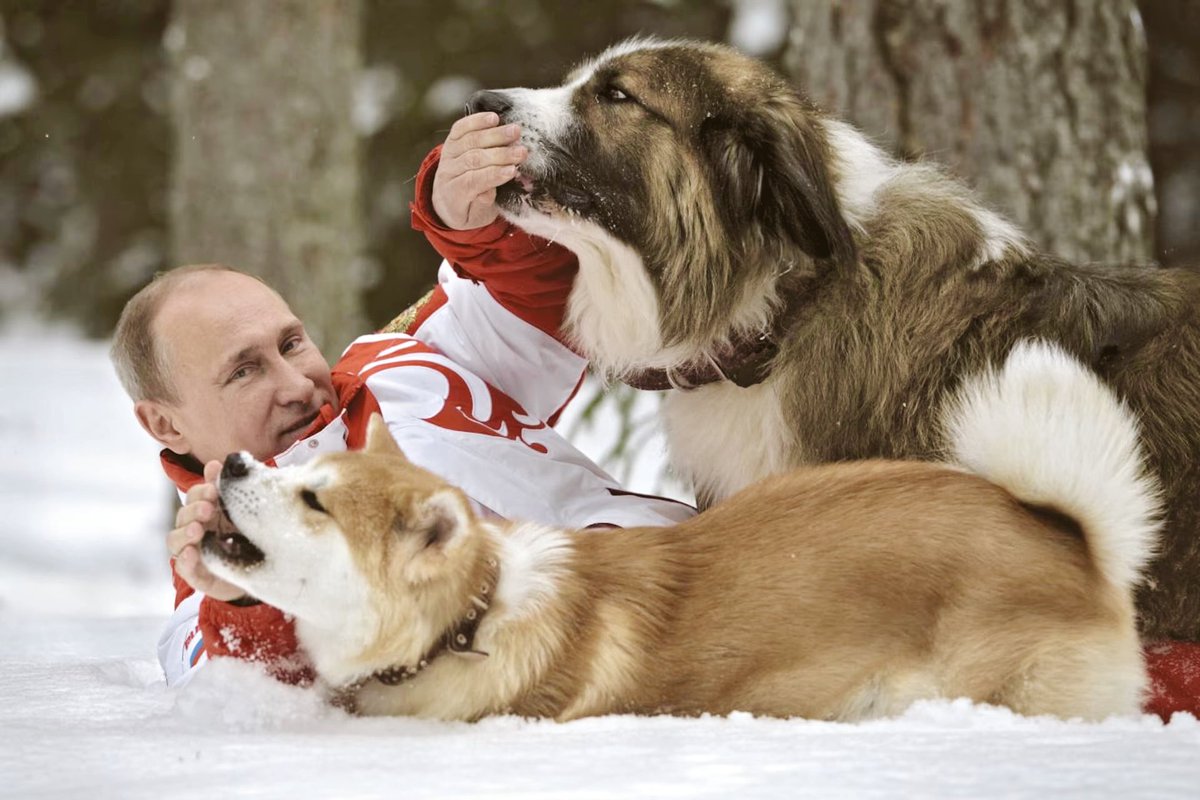 sashameetsrus's tweet photo. Happy birthday dear President Vladimir Putin! ❤️ May you always have the strength, courage, and wisdom against those who wish us harm. Thank you for making Russia so great! 🇷🇺 https://t.co/xfR4V1EhNU