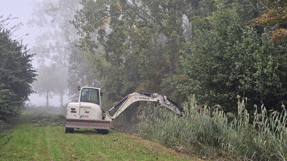 DuylsBos's tweet photo. Gisterochtend in de mist was Jan Crielaard al vroeg bezig om de sloten rondom het Bos uit te halen/te #baggeren. En vanzelfsprekend gebeurt dat op #ecologische wijze, dwz dat er stukken riet blijven staan. Wij zijn op tijd klaar voor de schouw van @wsrivierenland 
#sloot #oktober https://t.co/NoEOkjq88t