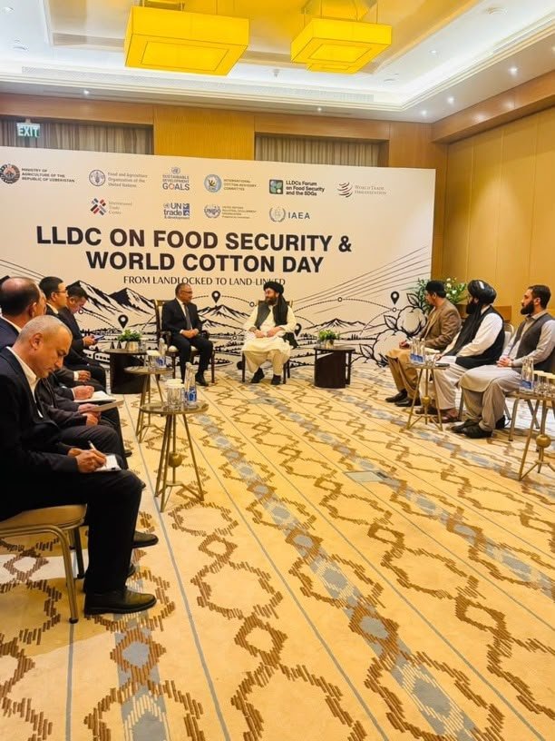 Baloch1682's tweet photo. 🔴Afghanistan’s Ministry of Agriculture, Irrigation and Livestock:

Agriculture, Irrigation and Livestock Minister Ataullah Omari has arrived in Tashkent at the official invitation of Uzbekistan’s Ministry of Agriculture.

During the visit, discussions will focus on expanding bilateral and regional cooperation with Uzbekistan in the areas of agriculture, irrigation, livestock, trade, and investment.