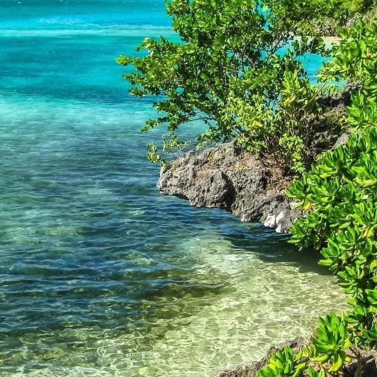 MauritiusGuide's tweet photo. Wednesday vibes in Mauritius 🇲🇺 https://t.co/6eC5rYz3Os