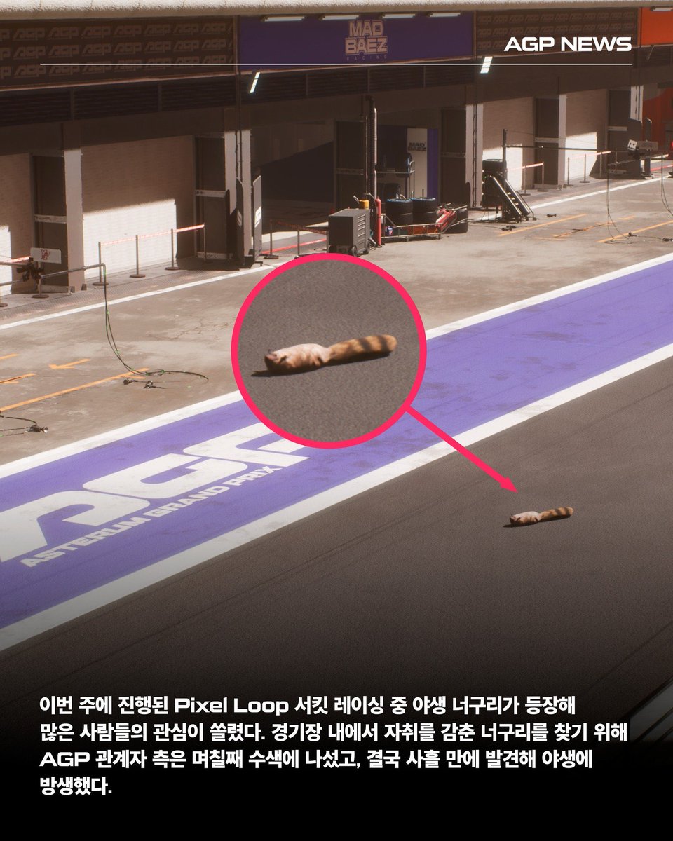 plavememespls's tweet photo. cant believe the fking raccoon made it into the lore 😂 https://t.co/dbjxDWCr1G