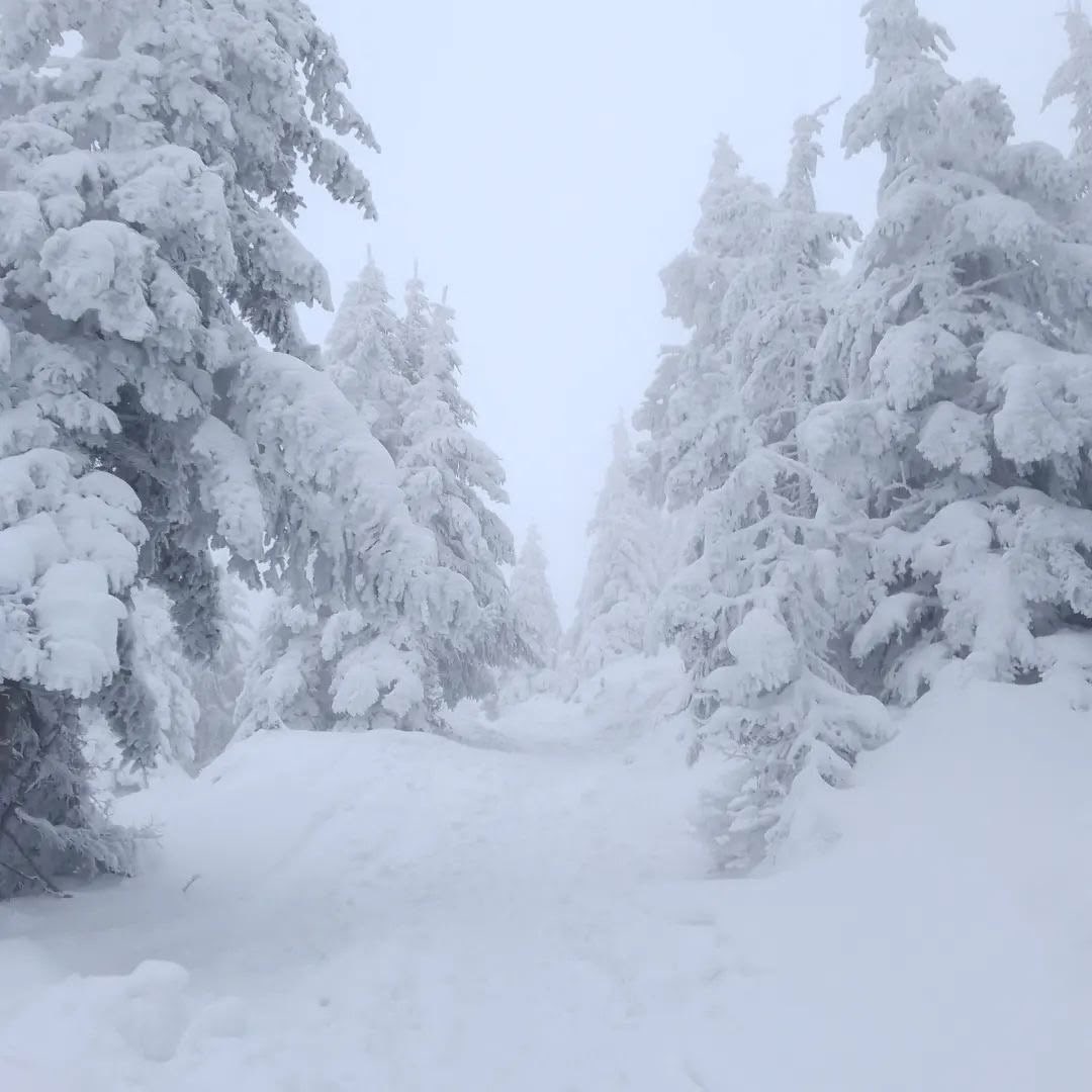 Alyoshathecute's tweet photo. ❄️𝑰𝒏𝒇𝒐𝒔 𝒐𝒇 𝒎𝒖𝒔𝒆/ 𝒘𝒓𝒊𝒕𝒆𝒓~❄️

❄️𝑨𝒈𝒆: 𝟐𝟏 
❄️𝑺𝒆𝒙𝒖𝒂𝒍𝒊𝒕𝒚 : 𝒈𝒂𝒚 🏳️‍🌈 𝒐𝒏𝒍𝒚 𝒃𝒐𝒕𝒕𝒐𝒎
❄️𝑴𝒖𝒍𝒕𝒊 𝒔𝒉𝒊𝒑 
𝑶𝒑𝒆𝒏 𝒕𝒐 𝑫𝑴 
❄️𝑭𝒓𝒊𝒆𝒏𝒅𝒍𝒚 𝒘𝒓𝒊𝒕𝒆𝒓 
❄️𝑺𝒍𝒐𝒘 𝒓𝒆𝒑𝒍𝒊𝒆𝒔 https://t.co/5V190aBk7D